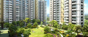 Emaar Imperial Gardens Sector 102 Gurgaon